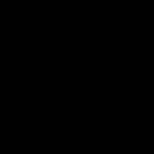 Meet your Posher, Eliona